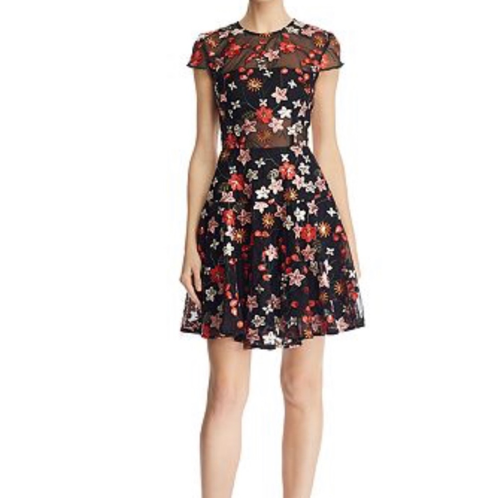 Bronx & Banco Rouge Floral Embroidered Dress